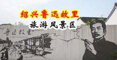插少妇肉洞的视频在线观看中国绍兴-鲁迅故里旅游风景区